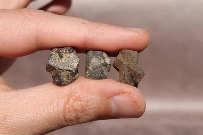 Lot Staurotide Staurolite Minéraux Coray Bretagne Minéralogie Cristal Curiosité - Photo 1/4