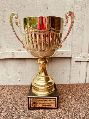 🏆 Trofeo de Plata Grande De Colección Oulton Park Motor Racing Antiguo Trofeos de Premio Foto 1 de 4