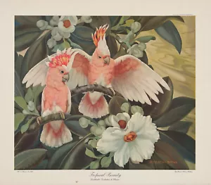 J HAZEL ARMS BOTKE Vintage XRare 1942 Mid Century Halftone Litho TROPICAL BEAUTY - Bild 1 von 1