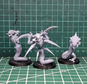 Space Bug Raveners - Picture 1 of 7