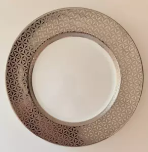 Bernardaud Divine PLATIN SPEISETELLER 10,5" Neu mit Etikett - Bild 1 von 5