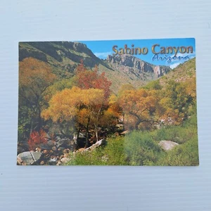 Postkarte Sabino Canyon Arizona Santa Catalina Berge 4x6 Rechteck Wanne5D - Bild 1 von 2