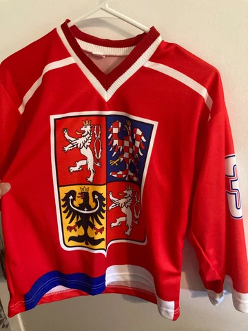 #39  Dominik Hasek polyester Czech Rep ice hockey red jersey youth Small Cover