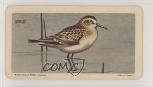 1962 Brooke Bond Red Rose Birds of North America Tea American Blue Backs #40 h3a