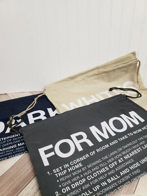 3 bolsas de lavandería Pottery Barn Teen Dorms fáciles de clasificar Foto 1 de 2