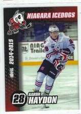 2014-15 Niagara Icedogs (OHL) Aaron Haydon
