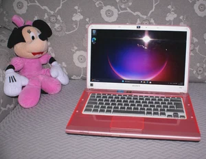 RARO Sony Vaio PCG 61714M ROSA i3 2330M 8GB RAM Win11 Perfetto - Foto 1 di 14