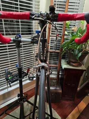 Bicicleta Focus Cayo Evo 2012 - carbono medio ULTEGRA Di2 impecable estado Foto 1 de 4