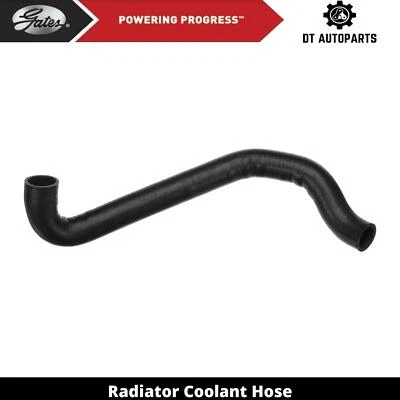 Manguera de refrigerante de radiador de gas 2,2 L L4 para Mercedes-Benz C220 1994-1996 puertas inferiores Foto 1 de 4