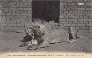 Malawi - Lion - Publ. Company of Mary - Mission du Shiré des Pères Montfortains - Picture 1 of 2