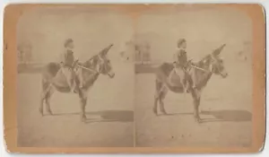 Años 1870 Colorado STEREOVIEW por Gurnsey - Niño con burro mexicano o burro - Imagen 1 de 2