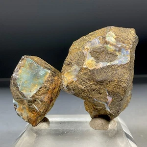 SS Rocks - 2 Boulder Opal (Australia) 50.2g total - Picture 1 of 7