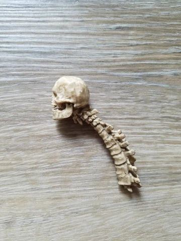 Hasbro Marvel Legends Thanos Skull Accessory (From Super Villain Doctor Doom) Cover