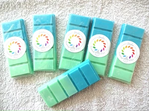 Snapbar Wax Wachs melts duft / Wax melts geur PEPPERMINT & EUCALYPTUS - Imagen 1 de 1