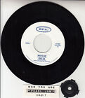 Pearl Jam  Who You Are 7" 45 Rpm  Vinyl Record + Juke Box Title Strip Rare!
