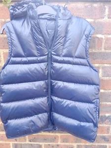 LACOSTE MENS BLUE HOODED BODYWARMER GILLET SIZE MEDIUM - Picture 1 of 3