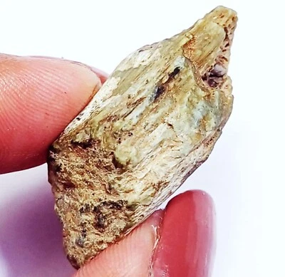 Piedra preciosa suelta 100 % natural crisoberilo ojo de gato áspera 27,30 quilates con regalo gratis Foto 1 de 4