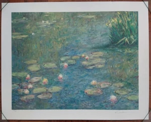 Impresión artística firmada por Ander Kase - edición limitada 329/400 - almohadillas de lirio de 24"x30" - Imagen 1 de 6