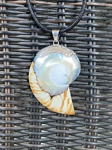 Stunning SS 925 PEARL TIGER NAUTILUS SHELL Pendant & 16” Leather Cord Necklace - Picture 1 of 9