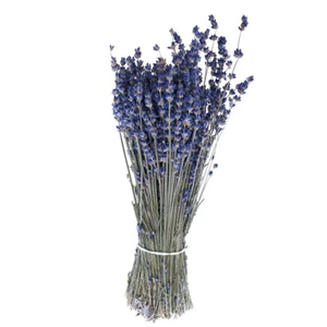 Getrockneter Lavendelstrauß Deko Trockenblume Blau 75g 25cm - Bild 1 von 3