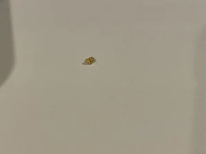Australian Natural Gold Nugget 0.249g - Picture 1 of 1