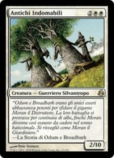 1X Indomitable Ancients Morningtide NM/EX Italian MTG CARD
