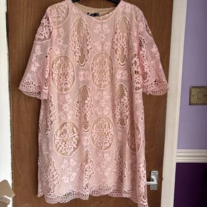 Boohoo Plus Size 22 Blush All Over Lace Shift Dress Short Sleeved - Picture 1 of 12