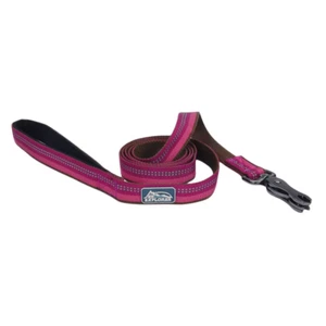 XS/SM — 5/8" x 6 ft — K9 Explorer Reflective Dog Leash with Scissor Snap — BERRY - Picture 1 of 4