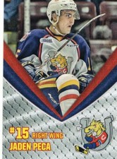2018/19 Barrie Colts - JADEN PECA