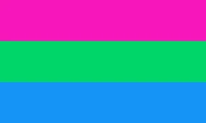 Polysexual Pride Flag 5x3ft - Speedy Free Delivery - Foto 1 di 1