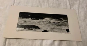 ❤️Vintage 1981 "Point Lobos" Poster 17X8" signiert Antonio Moreno matt gerahmt - Bild 1 von 9