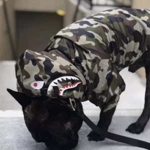 Dog Puppy Camouflage Windbreaker Raincoat Hoodie Y2K Clothes Camo Pug Halloween - Picture 1 of 4