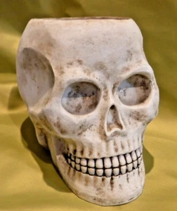 Skull Planter OR DISH - RESIN - SIZE 7 1/2 TALL BY 10 - MADE BY GRASSLANDS ROAD - Picture 1 of 7