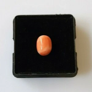 Cabochon corallo giapponese naturale 2,50' ct 100%, corallo fatto a mano, rosa, pietra preziosa sciolta - Foto 1 di 6