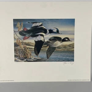 Pennsylvania Waterfowl Management Stamp Print Bufflehead Ducks 1995 #2235/7380 - Picture 1 of 4