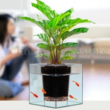Clear Aquarium Self-watering Pot Planter Plant Fish Tank Vase Home Decor 12cm