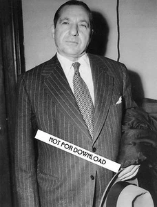 PHOTO of FRANK "the PRIME MINISTER" COSTELLO 8x10 GLOSSY REPRINT MAFIA WALL ART - Bild 1 von 1
