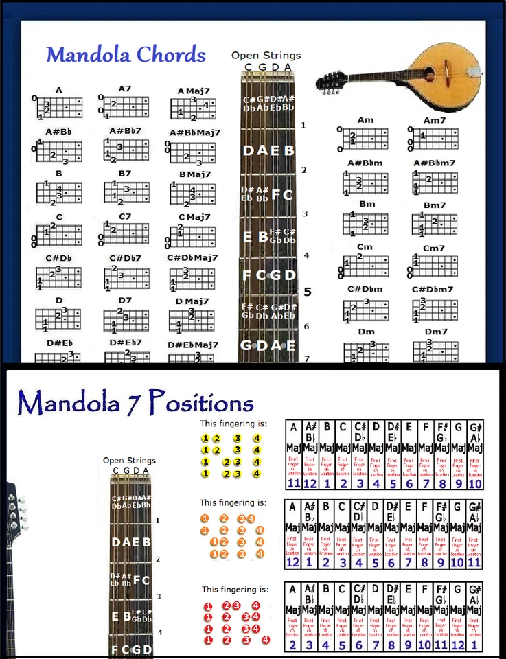 MANDOLA CHORDS & 7 POSITION SLIDE RULE CHARTS - 2 LAMINATIONS - Image 1 of 1