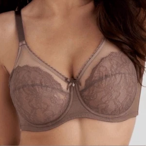 Wacoal- Retro Chic Full Figure Bra 855186 Cappuccino, Size 38DD - Picture 1 of 10