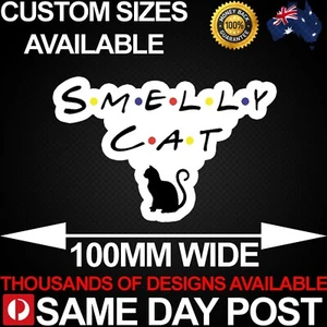 SMELLY CAT FRIENDS 100mm Wide Vinyl Car Sticker Decal Funny Tv Show Phoebe - Picture 1 of 1