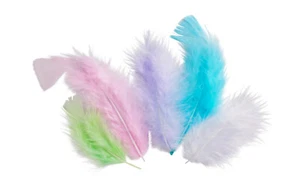Plumas Surtidas Pastel 10 Cm 50 Piezas - Picture 1 of 1