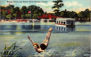 Beauty Above and Below Silver Springs FLORIDA LINEN POSTCARD D16 - Picture 1 of 2