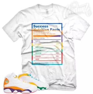SUCCESS FACTS Sneaker T-Shirt passend zu J1 13 Playground Mehrfarbig  - Bild 1 von 3