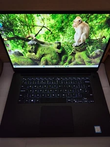WILL TAKE £399 - Dell Gaming Laptop i7 32GB RAM 256GB SSD Nvidia PLEASE READ - Picture 1 of 4