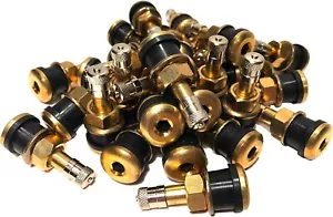 Fifty TR501 Straight Brass Clamp In Tubeless 1.5 inch Truck or Bus Valve Stems - Picture 1 of 2