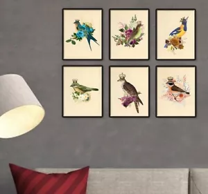 Antique Bird King Queen Crown Posters Wall Art Decor Set of 6 Prints 8.5x11 - Picture 1 of 7