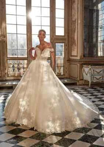 PRONOVIAS PRIVÈE | Romantic Princess Celestite | Size 6 Wedding Dress - Picture 1 of 9