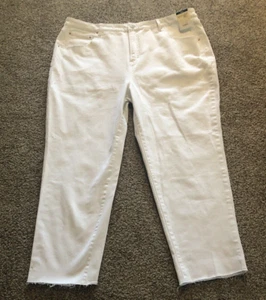 Terra & Sky Women's Cotton Comfort Un-Hemmed Jeans plus SIZE 22W NEW W/TAG - Picture 1 of 11