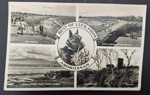 1955 ARDROSSAN Ayrshire Best of Luck SCOTTISH TERRIER Dog Multiview Postcard - Picture 1 of 1
