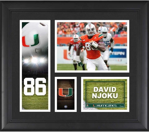 David Njoku Hurricanes Framed 15x17 Player Collage - Fanatics Cover